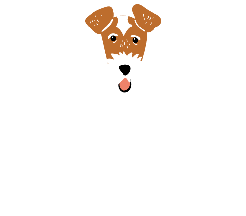 Petsitting braga